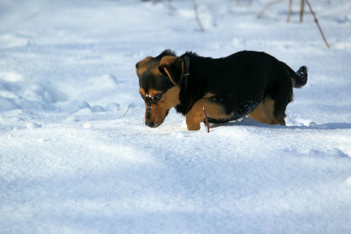 Winter