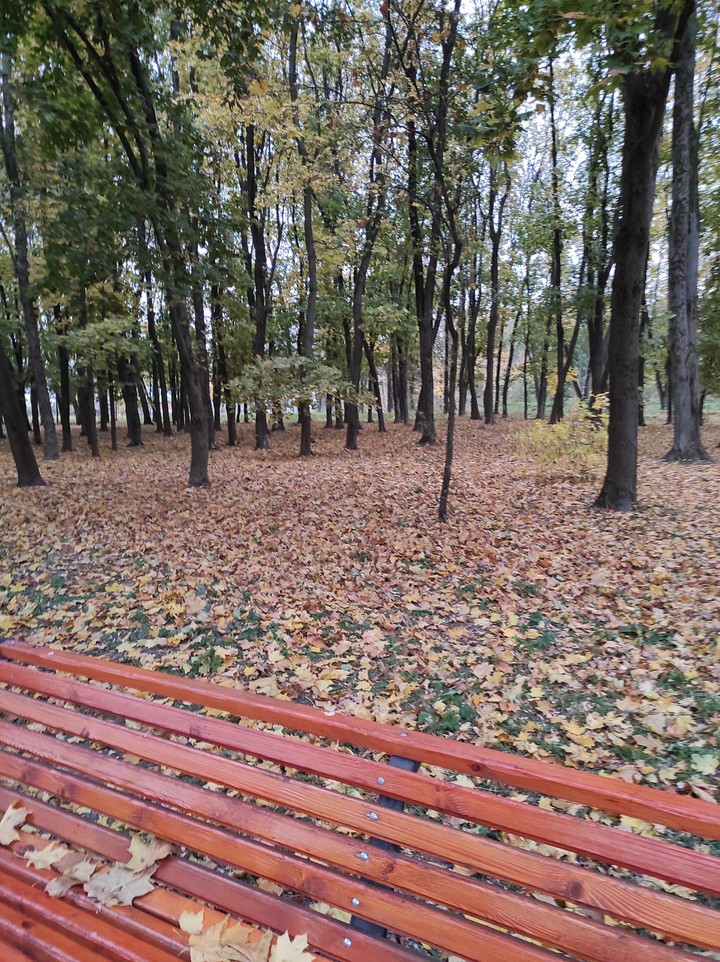 осень