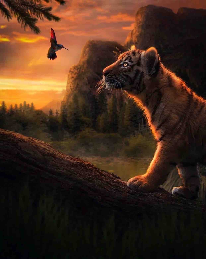 .