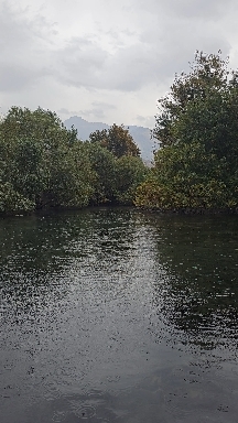 Khurmal