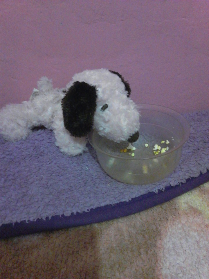 SNOOPY YOU FINISH THEM!