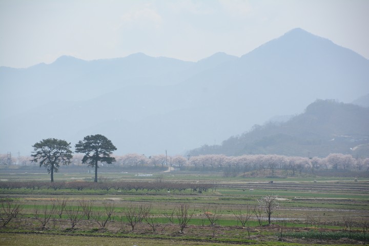하동이미지
