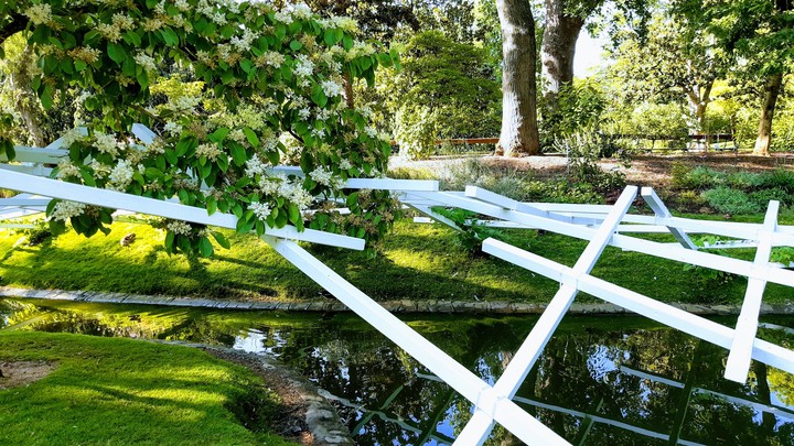 Garden in France (Nantes)