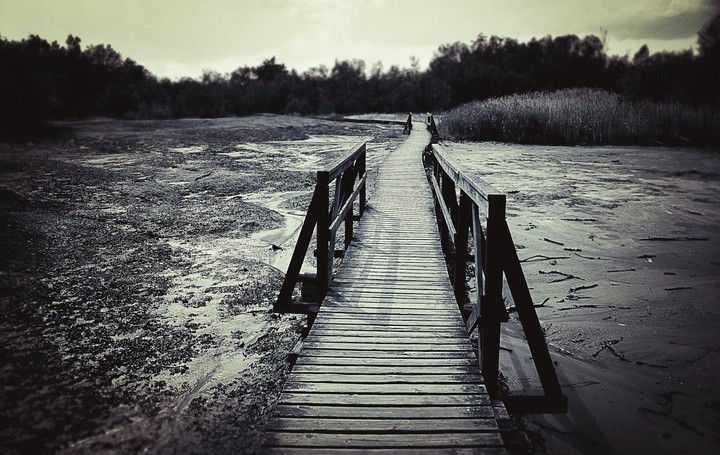 Brige