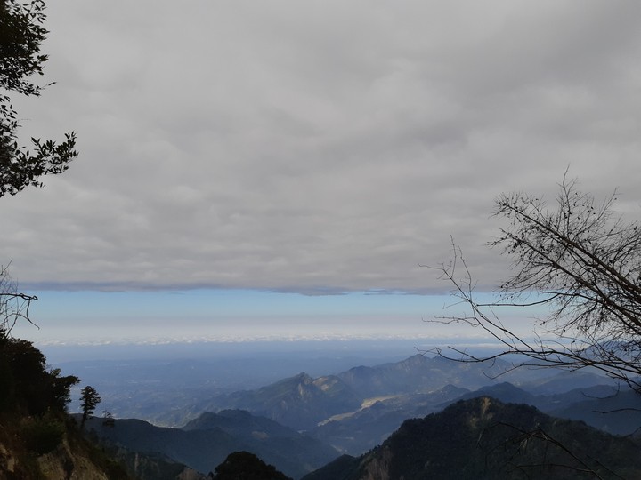 view