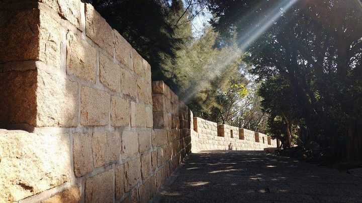 A Peaceful Walk
