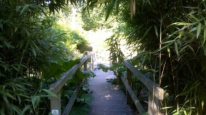 gardens bridge
