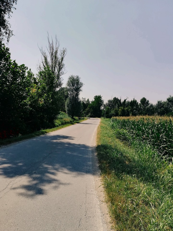 Country road?
