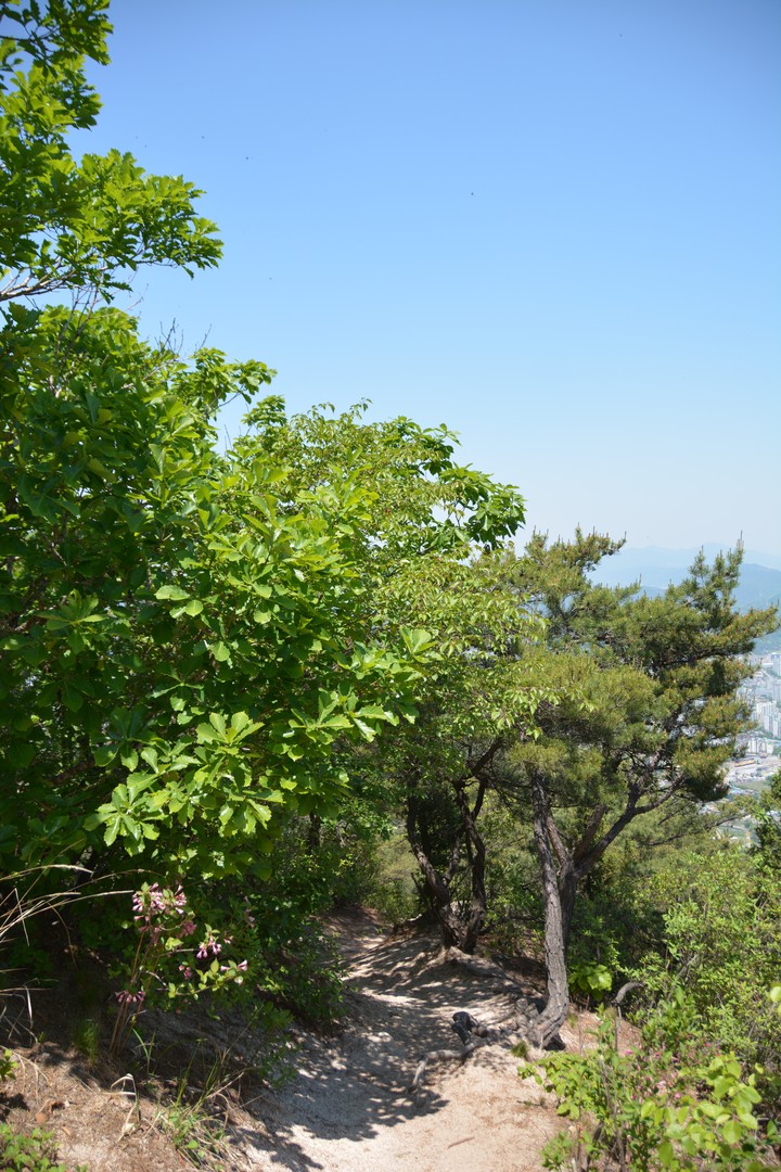 수락산이미지