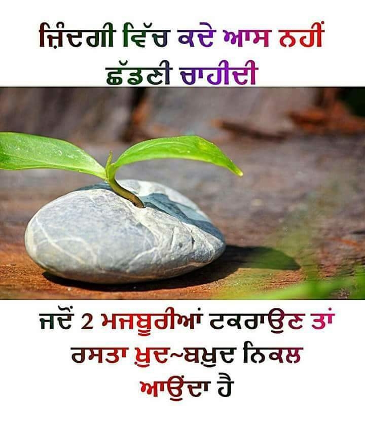 Reality