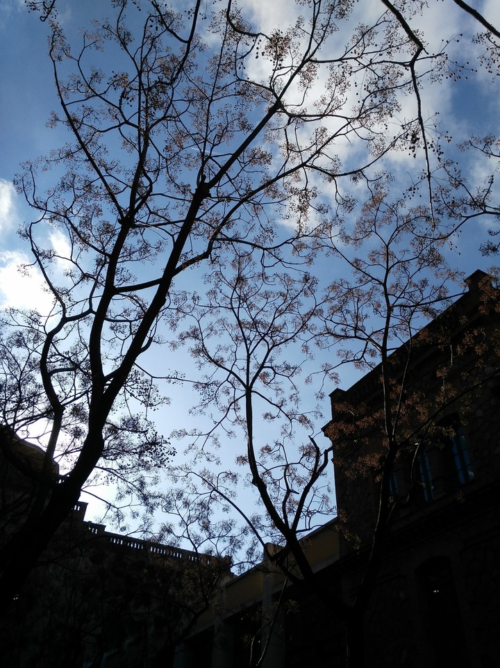 lights and shades