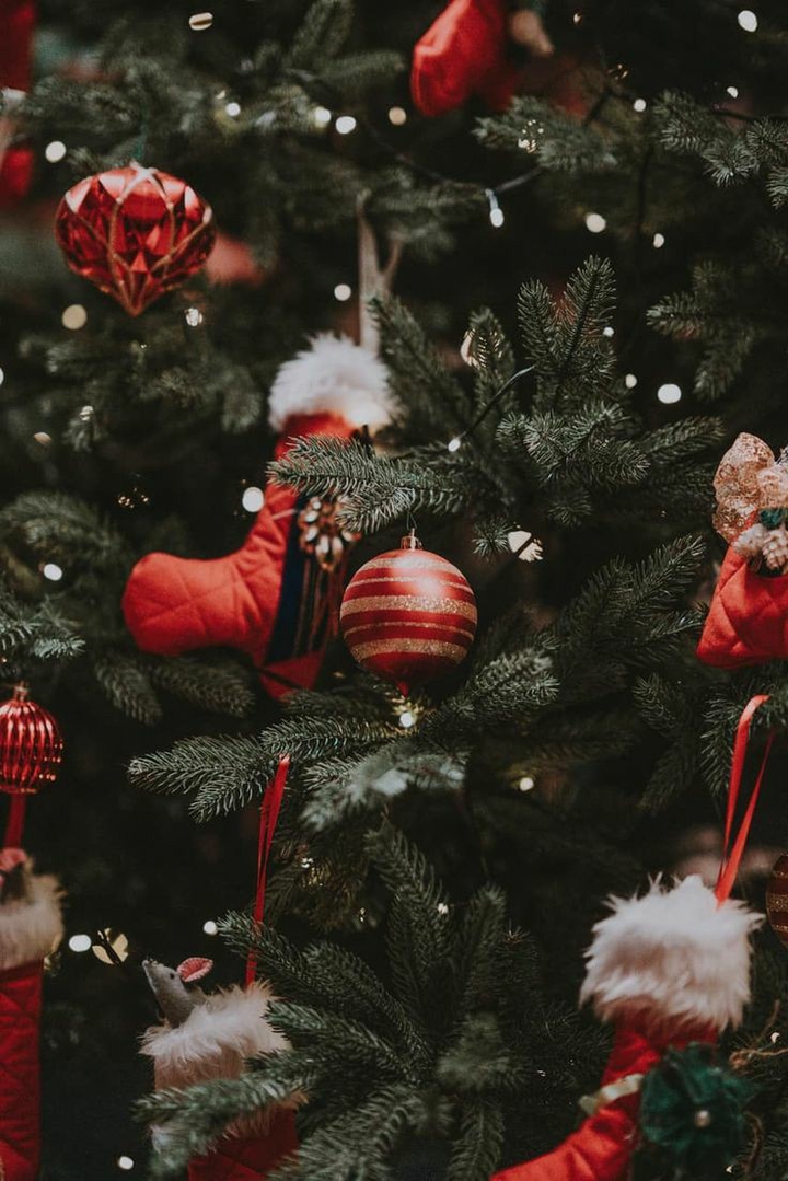christmas tree