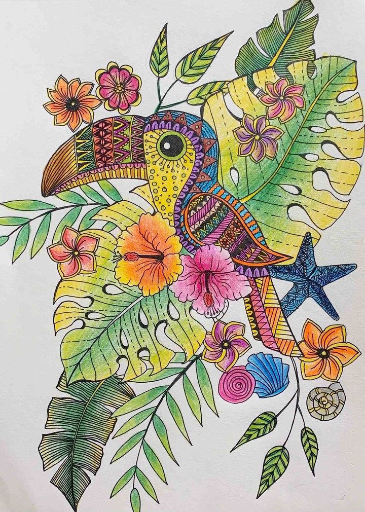 bird