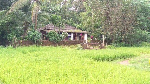 Kokan