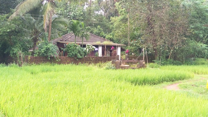 Kokan