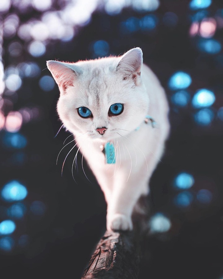 :D