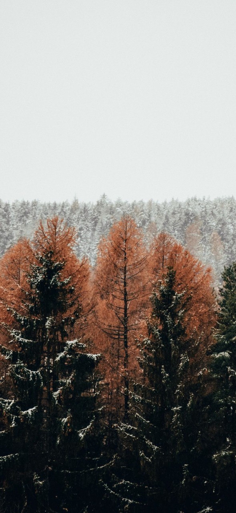 winter