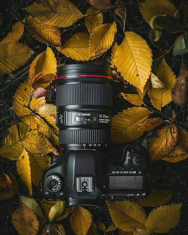 my