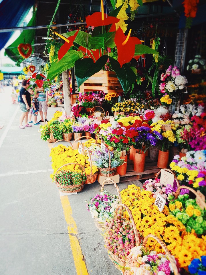 Flea market | BKK Thailand