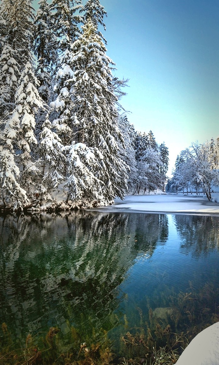 Winter Lake