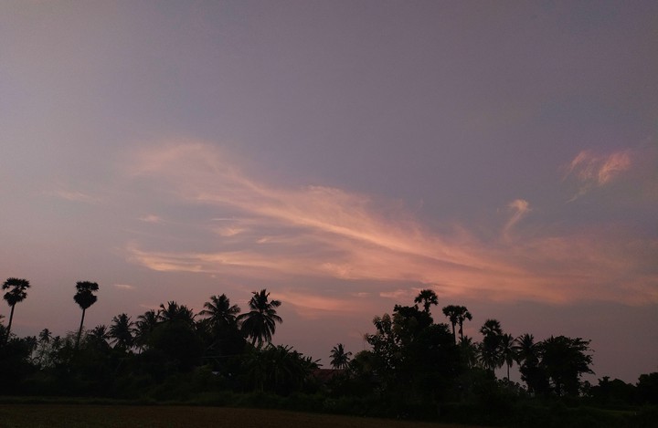 evening
