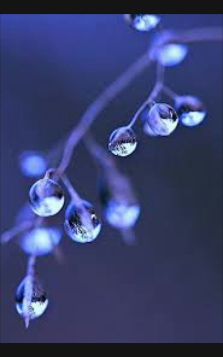 water drops