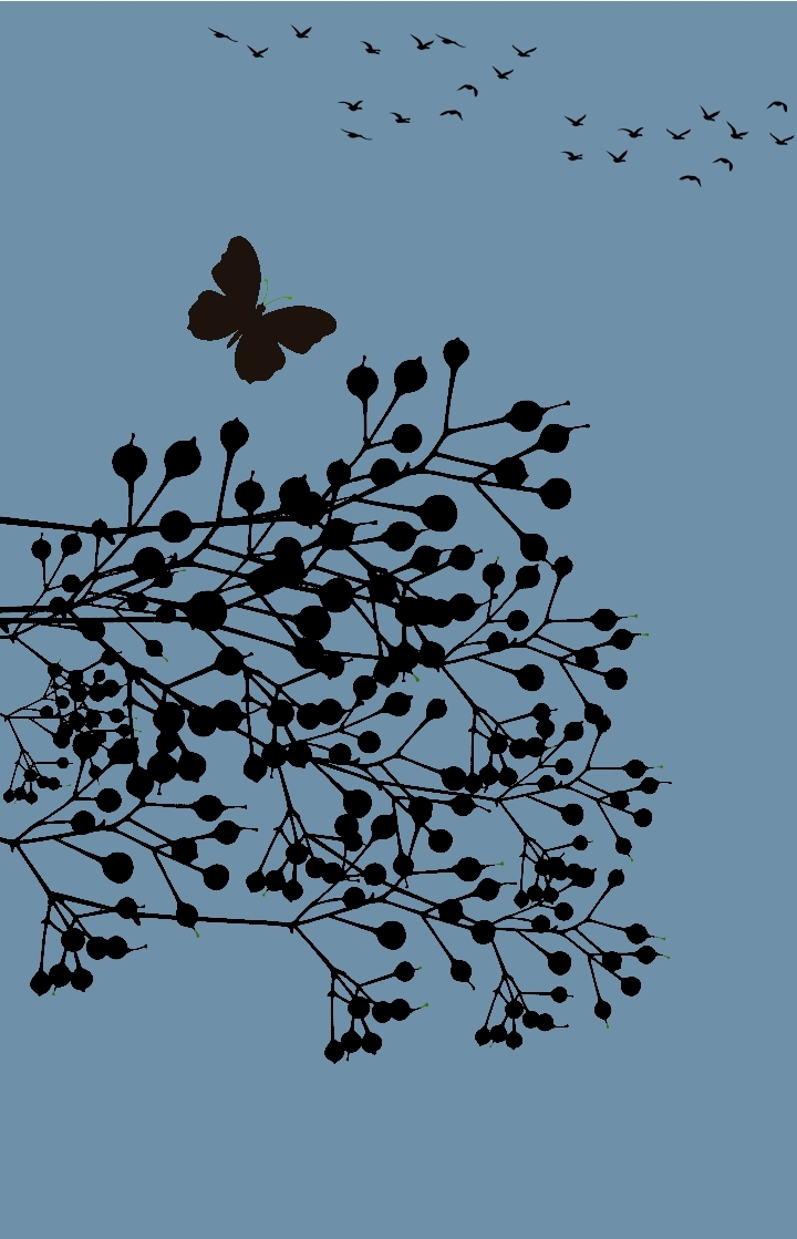 butterfly.black