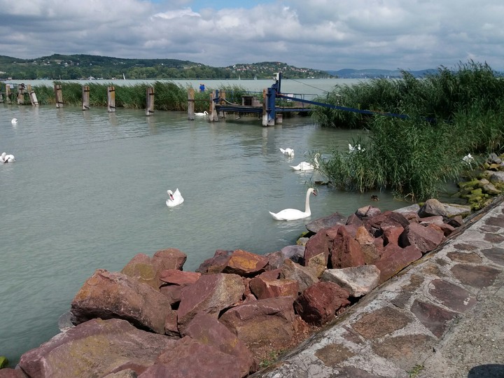 Balaton