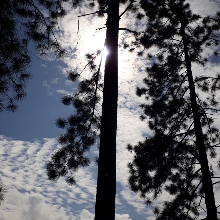 sunshine