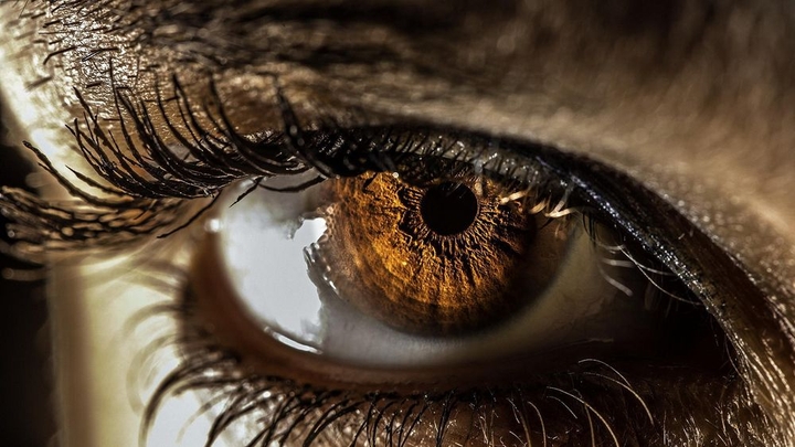 Brown eye