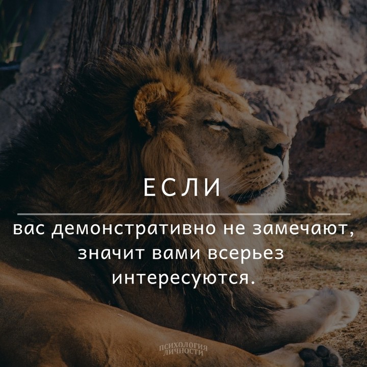 истина