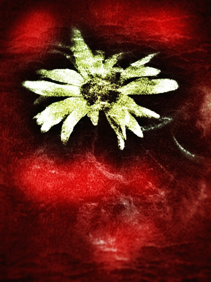 Ich war mal eine gelbe Blume