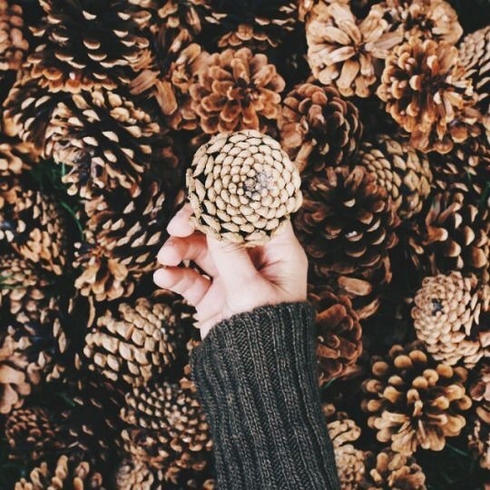 cone