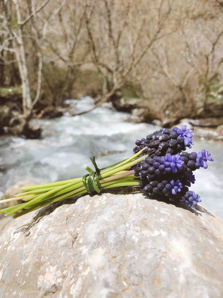 purple