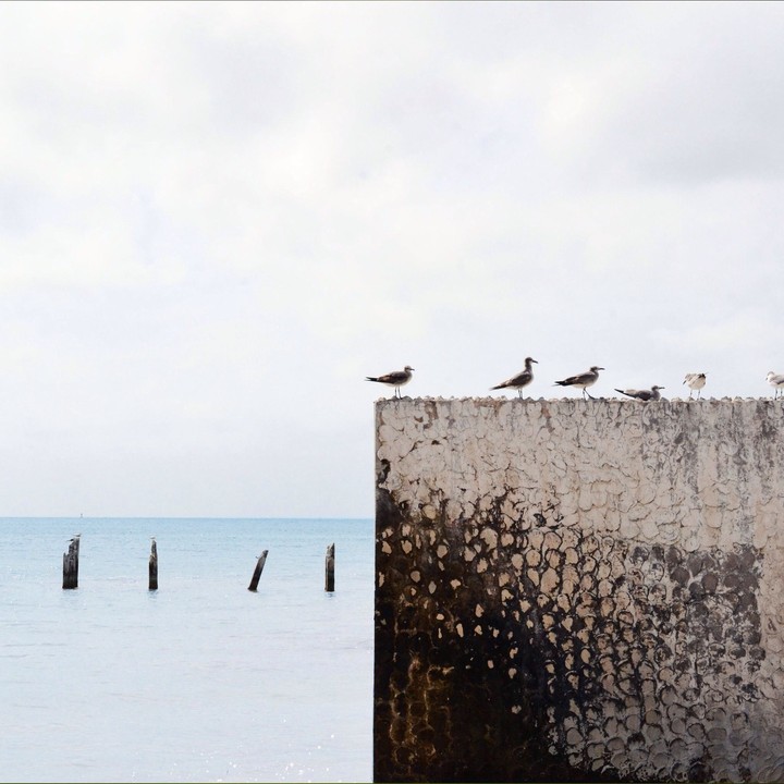 sea