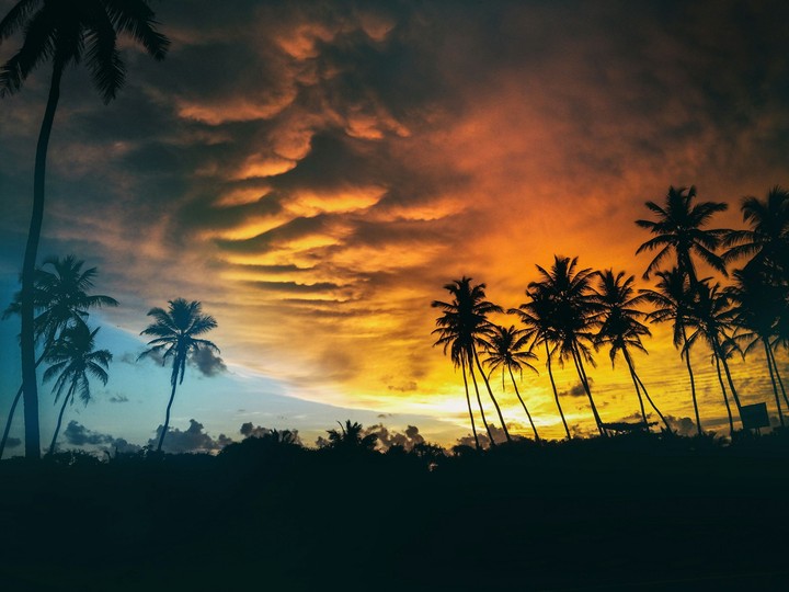 Evening