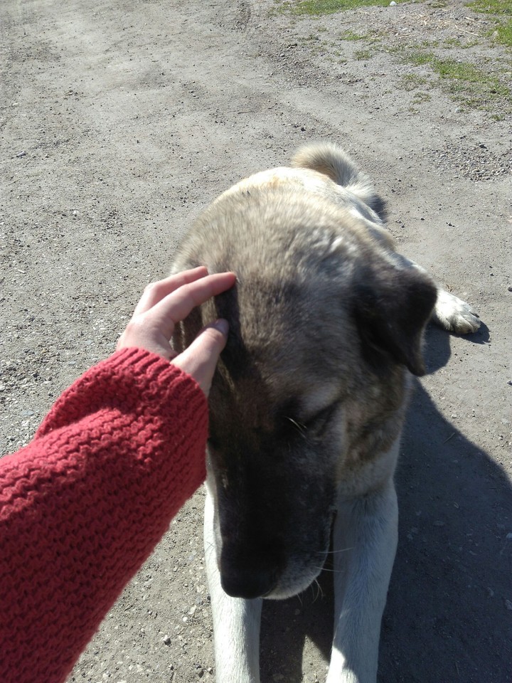 duman