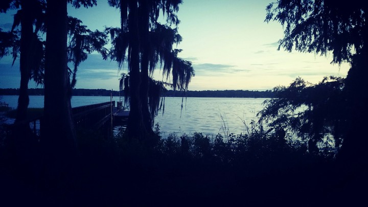 Lake nights