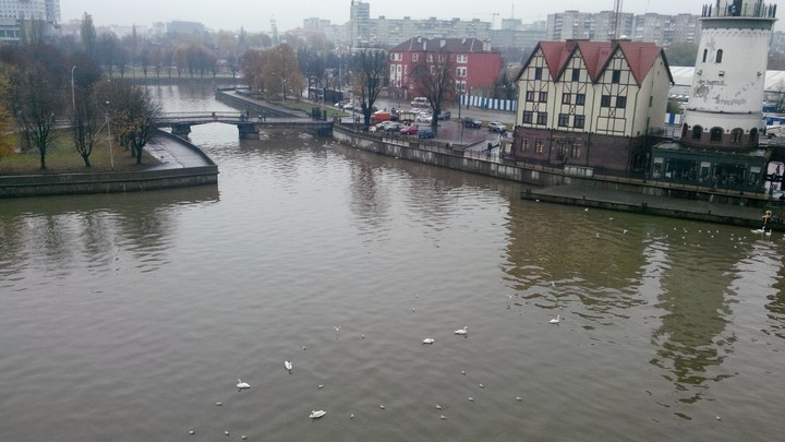 Kaliningrad