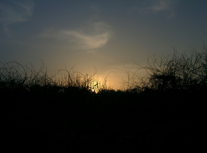 Sunset