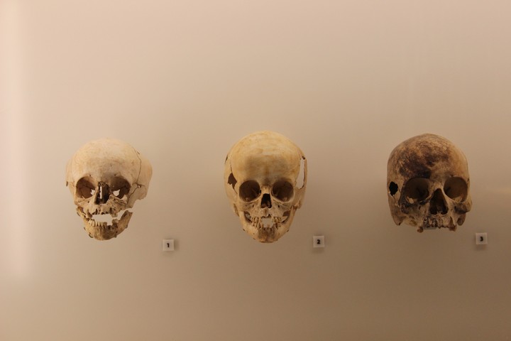 skulls
