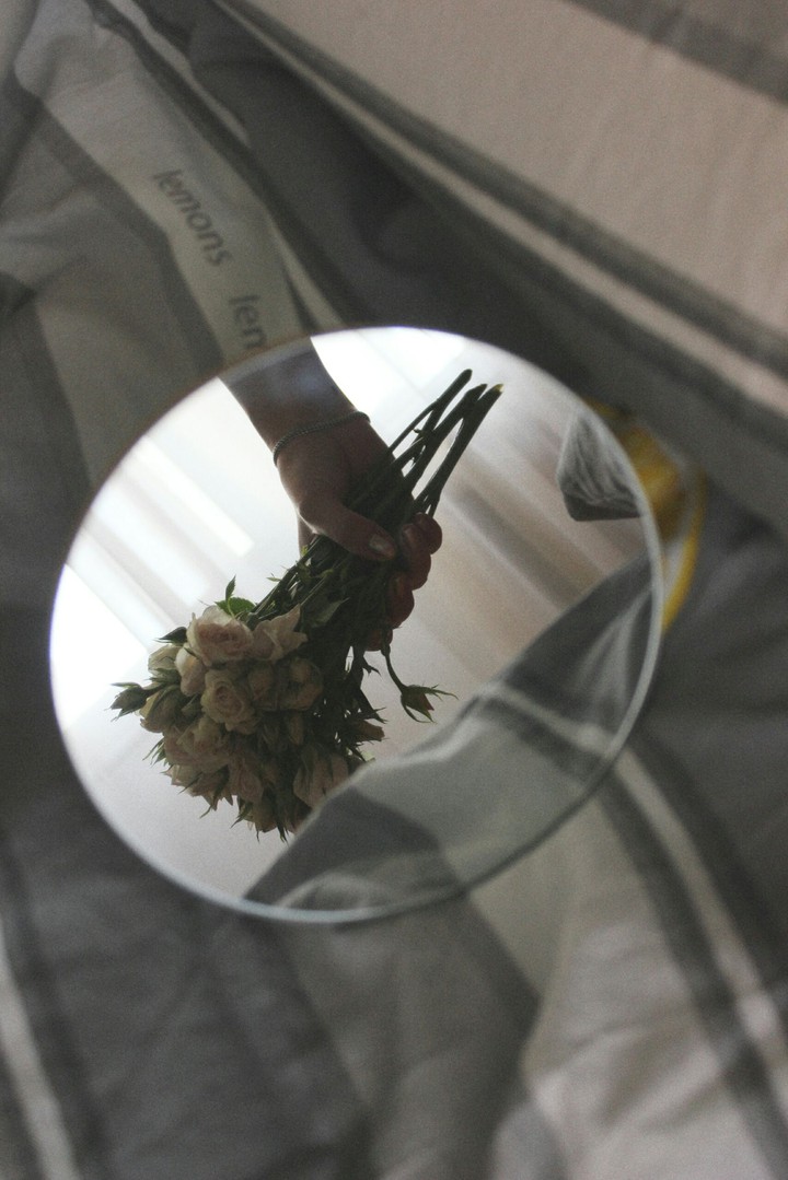 roses