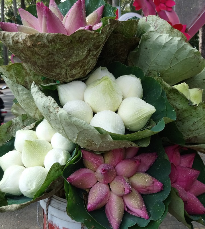 sắc màu cuộc sống