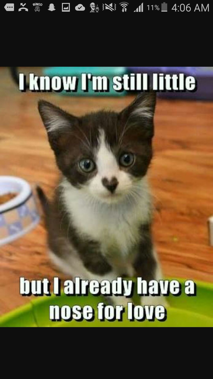 ☺☺☺☺
