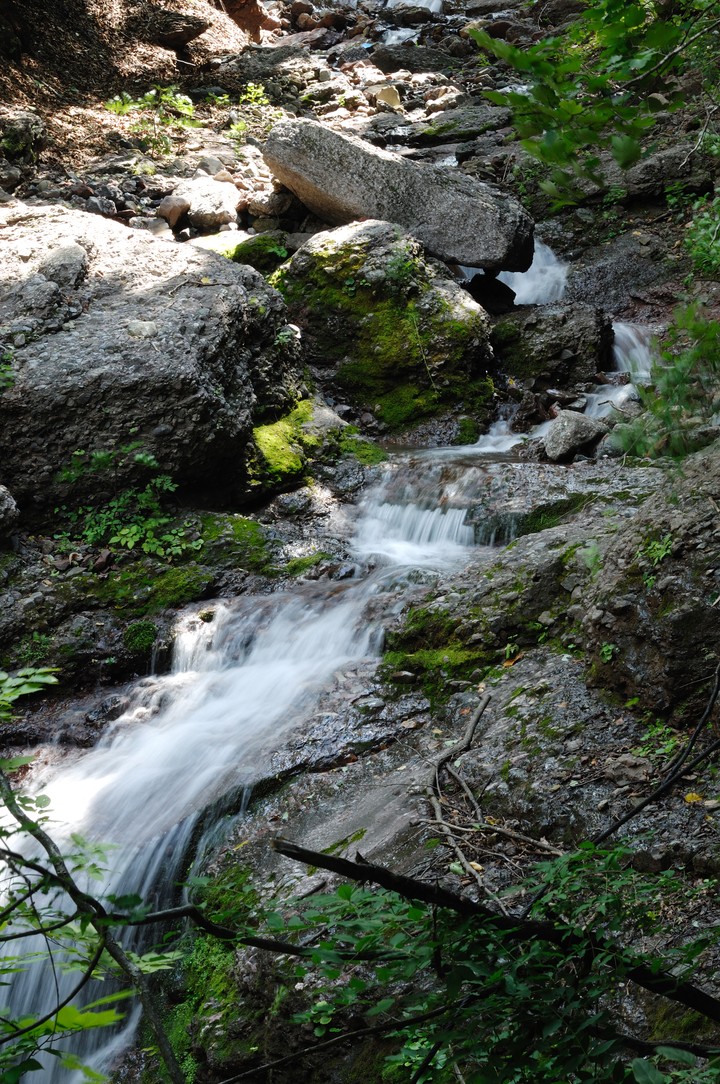 Scenics
