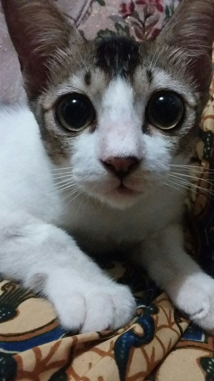 Cute