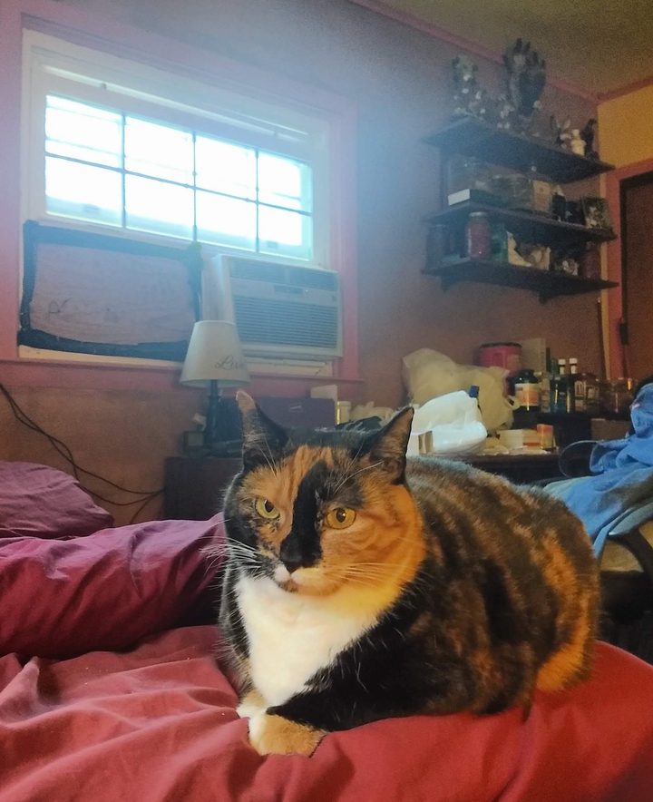 here's looking at you