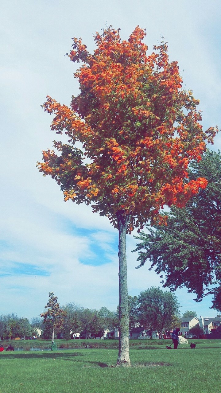 Beauty
