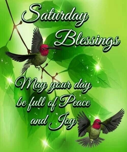 FOR EVERYONE