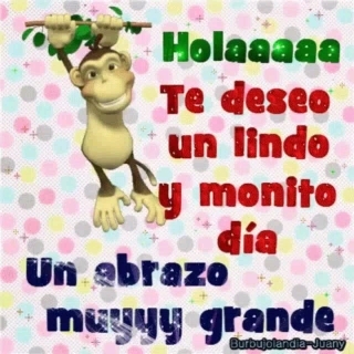 saludo